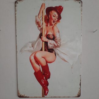 Pin Up pige